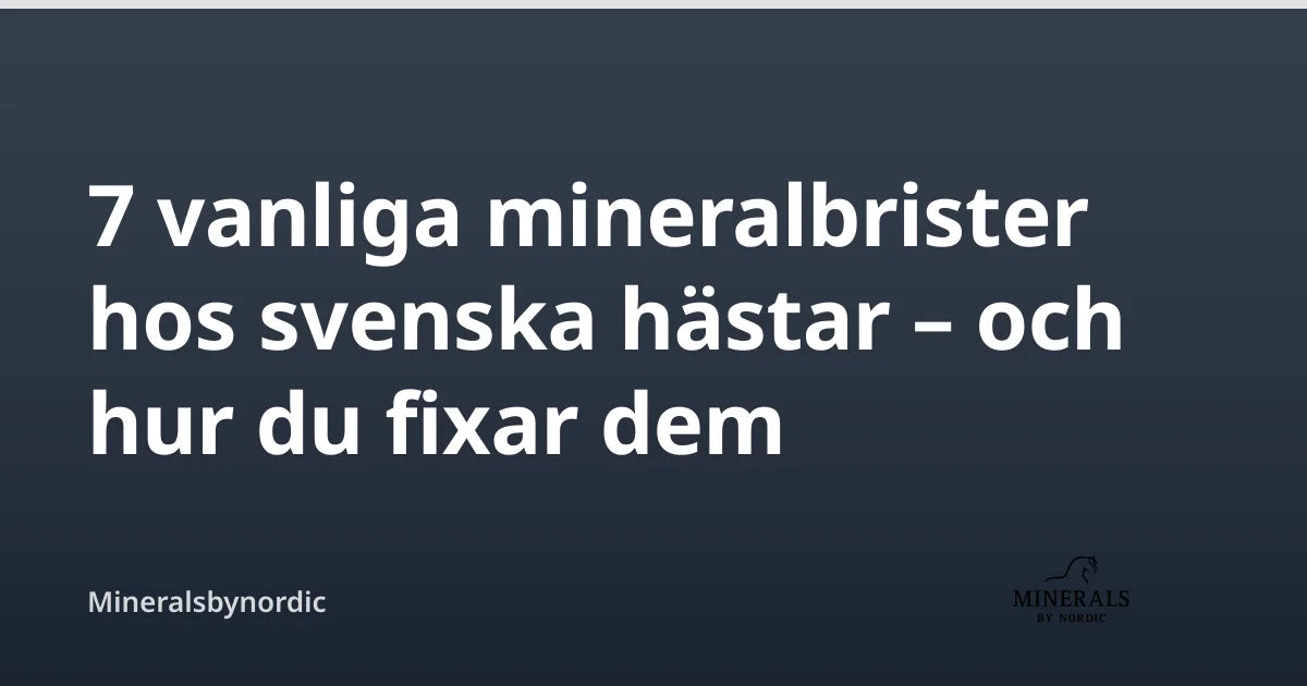 7 vanliga mineralbrister hos svenska hästar – och hur du fixar dem — Mineralsbynordic