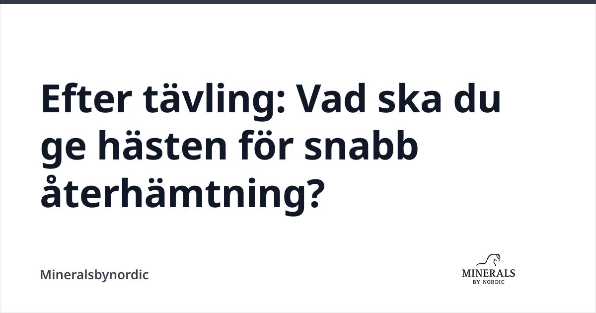 Efter tävling: Vad ska du ge hästen för snabb återhämtning? — Mineralsbynordic