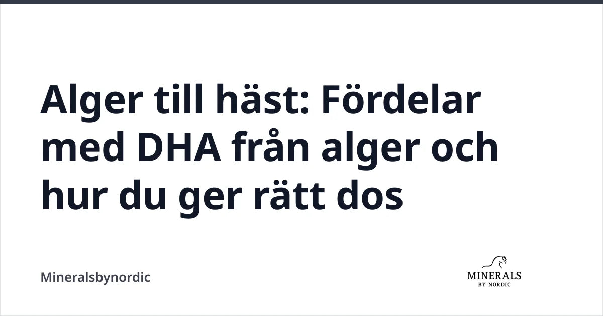 Alger till häst: Fördelar med DHA från alger och hur du ger rätt dos — Mineralsbynordic