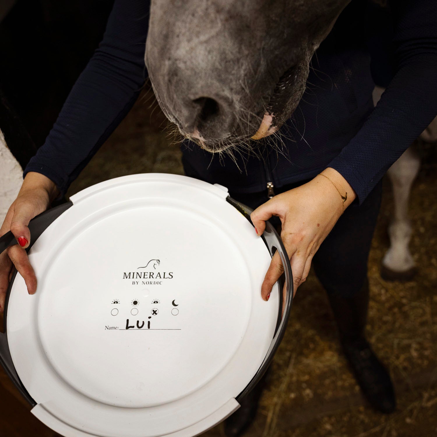 Lock till Flexi Foderskål Minerals by Nordic 10 L