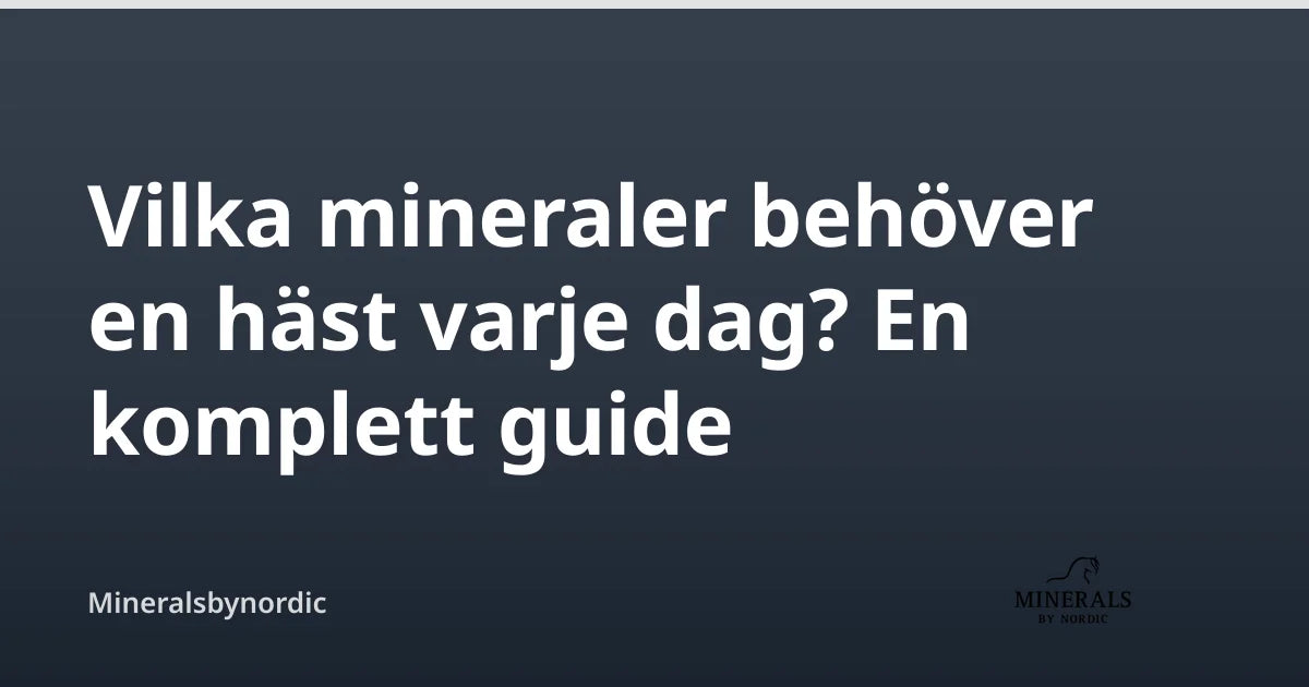 Vilka mineraler behöver en häst varje dag? En komplett guide — Mineralsbynordic