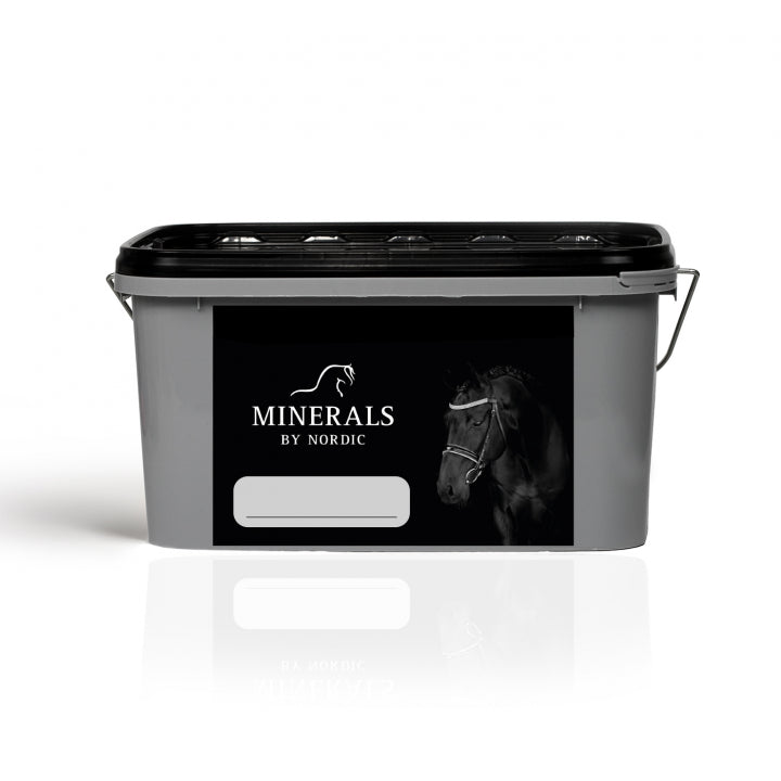 Bucket without lid