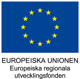 Region Kalmar EU stöd