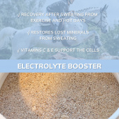 Elektrolyter häst - Electrolyte Booster 1.5 kg